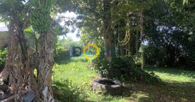 terrain constructible de plus de 1540m2