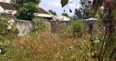 terrain tout a l'egout de 255 m2