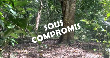 vieux habitants - un terrain boisé de 4 421 m2 -
