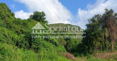 beau terrain de 4421 m2 à vendre en bord de rivière à vieux habitants