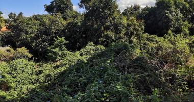 saint-pierre 97410 - terrain constructible 400m2 - zone u3