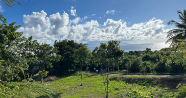 À vendre terrain de 1 158 m2 avec belle vue mer À marie-galante