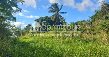 spacieux terrain à vieux habitants : espace 4 956 m2, calme et à proximité de basse terre
