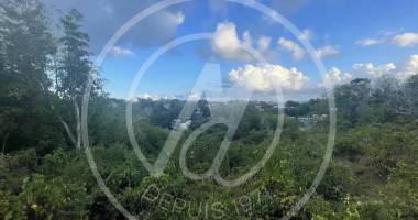À vendre terrain constructible de 4 150 m² – labrousse, le gosier – 369 565 €