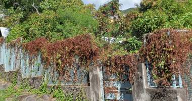 ofim vous vend un terrain de 1300m2 sur bellepierre