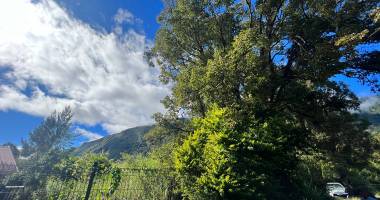 terrain  constructible 3708 m2 mare à citron