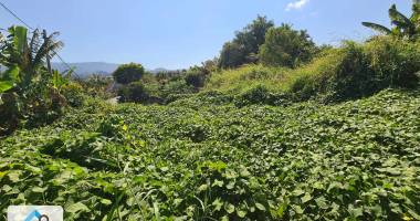 tampon 97430 - terrain À bÂtir - belle vue - environnement calme - bon potentiel