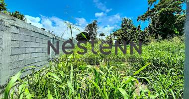 a vendre terrain plat a batir , viabilise a petit-bourg de 1000 m2