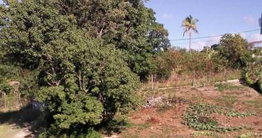 ne passez pas à côté de ce beau terrain de 1000 m2 avec vue sur la mer à vendre à vieux habitants