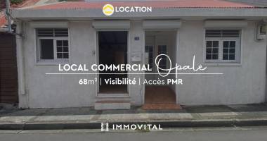 local professionnel 68 m2   centre-ville de basse-terre