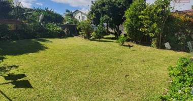 maison creole de type f5 avec un grand et magnifique jardin arboré