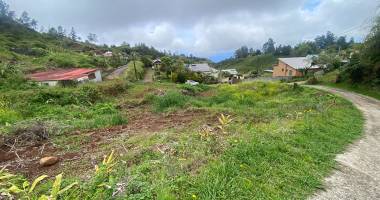 terrain au tévelave de1580 m² ref 241834