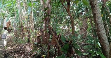 terrain de 400 m2 viabilisé avec petite dépendance à l'entre deux