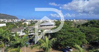 appartement saint denis 2 pièce(s) 39.96 m2