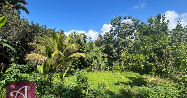 grand terrain environnement calme et ventile au lamentin
