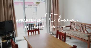 t3 meublé rue lamartine