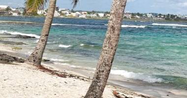 a proximite de la plage au moule duplex vue mer de 34.93 m2 habitable + loggia avec capital immobilier