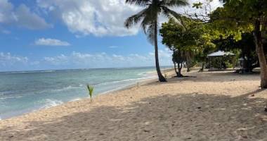 au  moule tres joli appartement meublÉ t1 vue mer a proximite immediate de la plage - surf totale 34.27 m2 -