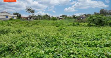 a vendre- le tampon- terrain de  550m2