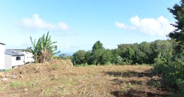 chez prmi / terrain 1548 m2 / petite-île (ravine du pont)