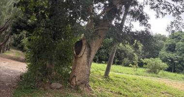À vendre – parcelle de terrain à fort potentiel à sans souci (saint-paul)