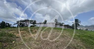À vendre  terrain constructible aux abymes 484 210 €