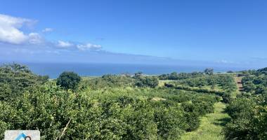 petite ile 97429 - parcelle bien proprotionnÉe - au calme - vue mer