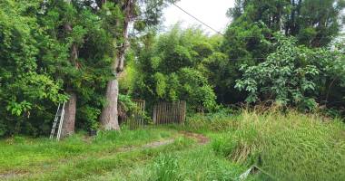 terrain bâti sur la plaine des palmistes