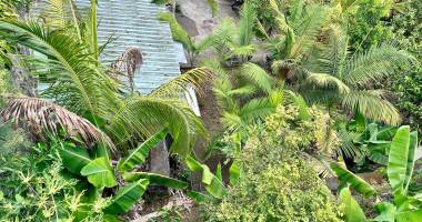 pichette - terrain de 462 m² constructible