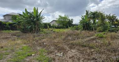 terrain constructible à bras-panon: opportunité unique!