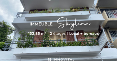 superbe opportunitÉ d'investissement : vente immeuble avec travaux À pointe-À-pitre